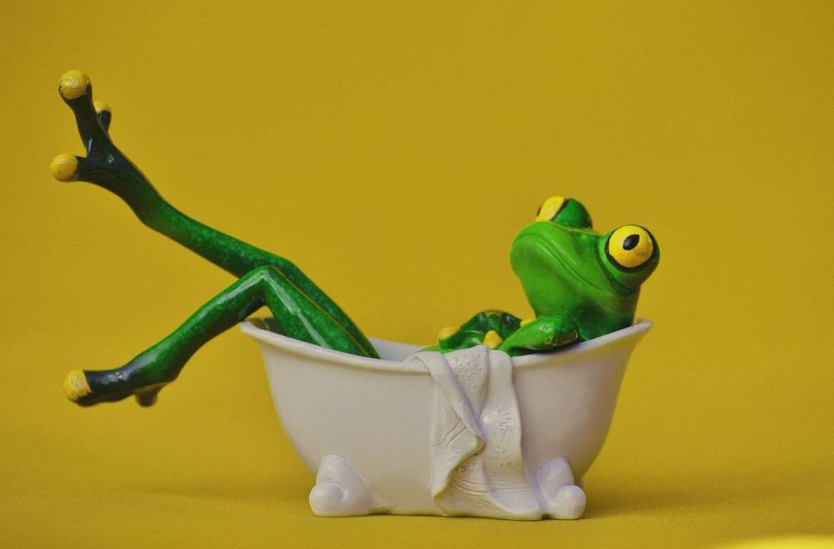 frog, bath, swim
