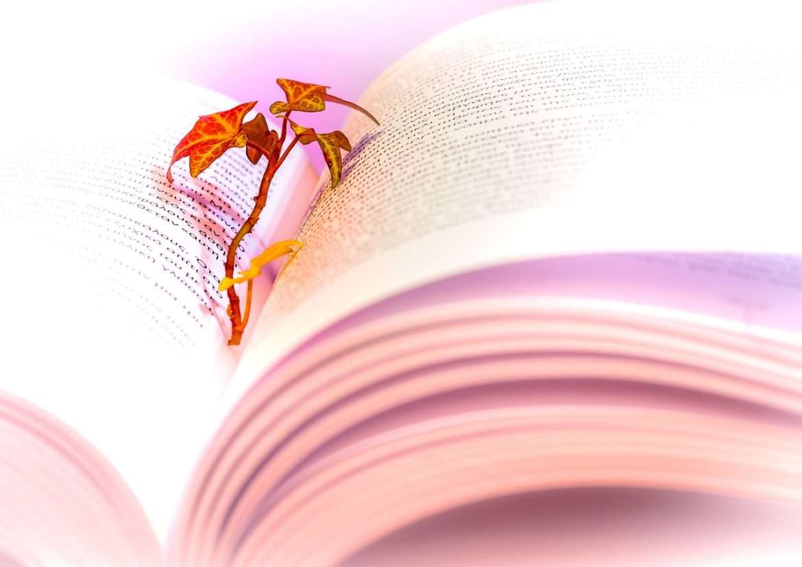 book, reading, read-3026883.jpg