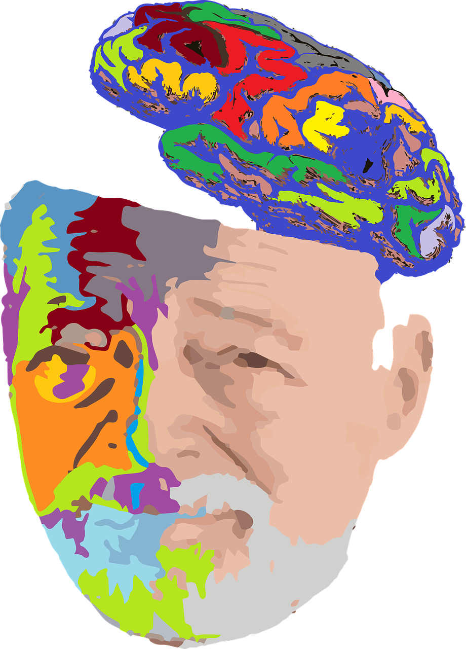 old man, portrait, brain-1906790.jpg